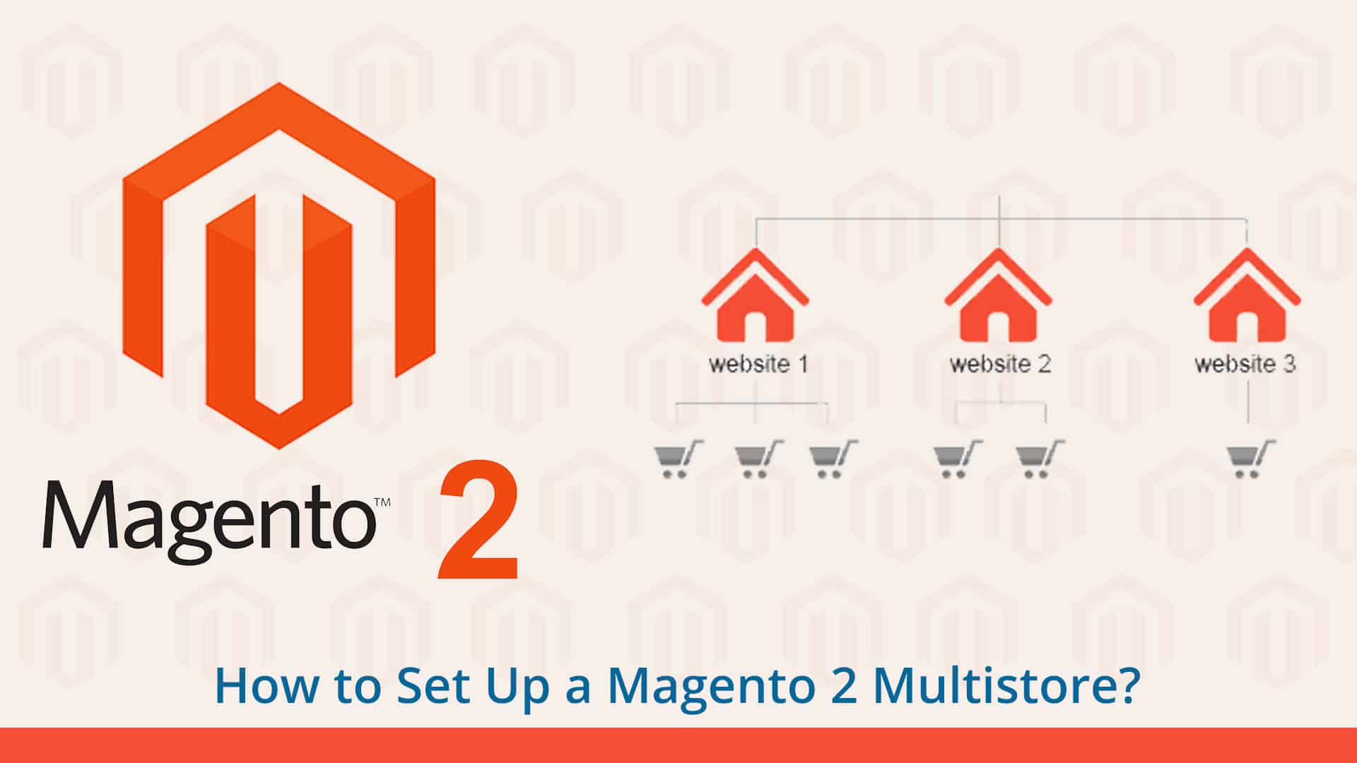 How To Set Up A Magento 2 Multistore? | Blog